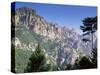 Col Du Bavella, Corsica, France-John Miller-Stretched Canvas