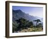 Col Du Bavella, Island of Corsica, France, Europe-John Miller-Framed Photographic Print