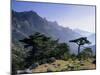 Col Du Bavella, Island of Corsica, France, Europe-John Miller-Mounted Photographic Print