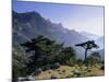 Col Du Bavella, Island of Corsica, France, Europe-John Miller-Mounted Photographic Print