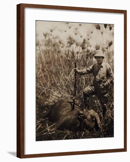 Col. Roosevelt Standing Beside a Water Buffalo Which He Has Shot-Kermit Roosevelt-Framed Photographic Print