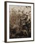 Col. Roosevelt Standing Beside a Water Buffalo Which He Has Shot-Kermit Roosevelt-Framed Photographic Print