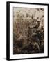 Col. Roosevelt Standing Beside a Water Buffalo Which He Has Shot-Kermit Roosevelt-Framed Photographic Print