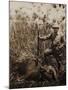 Col. Roosevelt Standing Beside a Water Buffalo Which He Has Shot-Kermit Roosevelt-Mounted Photographic Print