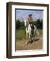 Col. William F. (Buffalo Bill) Cody-Rosa Bonheur-Framed Giclee Print