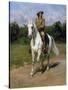 Col. William F. (Buffalo Bill) Cody-Rosa Bonheur-Stretched Canvas