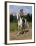 Col. William F. (Buffalo Bill) Cody-Rosa Bonheur-Framed Giclee Print