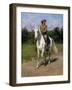 Col. William F. (Buffalo Bill) Cody-Rosa Bonheur-Framed Giclee Print