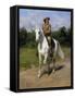 Col. William F. (Buffalo Bill) Cody-Rosa Bonheur-Framed Stretched Canvas