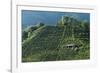 Colbertaldo, Valdobbiadene, Veneto, Italy, Europe-Sergio Pitamitz-Framed Photographic Print