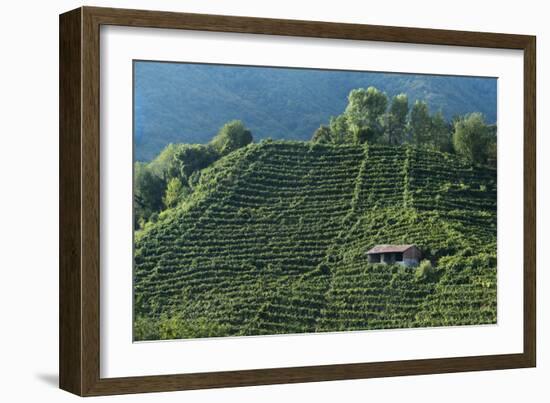 Colbertaldo, Valdobbiadene, Veneto, Italy, Europe-Sergio Pitamitz-Framed Photographic Print