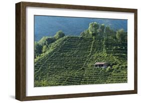 Colbertaldo, Valdobbiadene, Veneto, Italy, Europe-Sergio Pitamitz-Framed Photographic Print