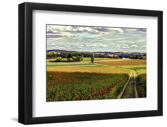 Premium Photographic Print, , large
