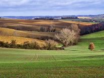 Pastoral Countryside IV-Colby Chester-Framed Photographic Print