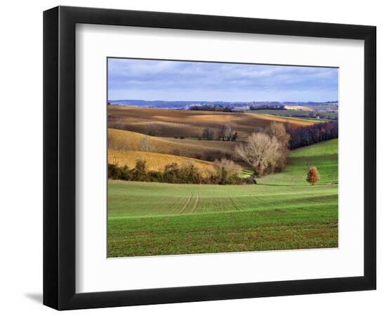 Premium Photographic Print, , large