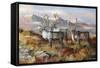 Cold Alaskan Ridge-Trevor V. Swanson-Framed Stretched Canvas