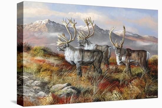 Cold Alaskan Ridge-Trevor V. Swanson-Stretched Canvas