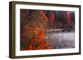 Cold Autumn Morning I-Alan Hausenflock-Framed Photographic Print