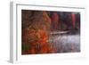 Cold Autumn Morning I-Alan Hausenflock-Framed Photographic Print