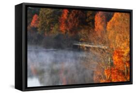 Cold Autumn Morning II-Alan Hausenflock-Framed Stretched Canvas