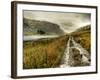 Cold Comfort-Mark Gemmell-Framed Photographic Print