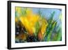 Cold crocus-Heidi Westum-Framed Photographic Print