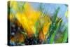 Cold crocus-Heidi Westum-Stretched Canvas