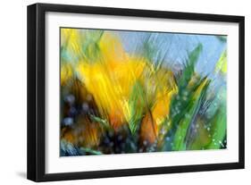 Cold crocus-Heidi Westum-Framed Photographic Print