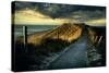 Cold Fence…-Wim Schuurmans-Stretched Canvas