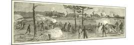 Wood Mount