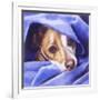 Cold? Me?-Barbara Keith-Framed Giclee Print