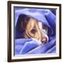 Cold? Me?-Barbara Keith-Framed Giclee Print