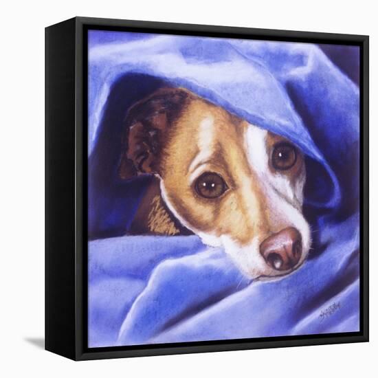 Cold? Me?-Barbara Keith-Framed Stretched Canvas