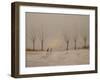 Cold, Misty Morning 2018 (Oil on Panel)-Chris Ross Williamson-Framed Giclee Print