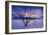 Cold Moon-Philippe Sainte-Laudy-Framed Photographic Print