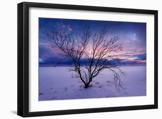 Cold Moon-Philippe Sainte-Laudy-Framed Photographic Print