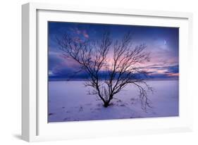 Cold Moon-Philippe Sainte-Laudy-Framed Photographic Print