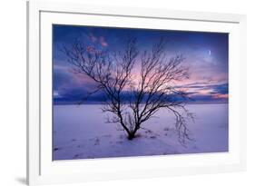 Cold Moon-Philippe Sainte-Laudy-Framed Photographic Print