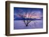 Cold Moon-Philippe Sainte-Laudy-Framed Photographic Print