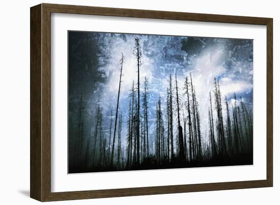 Cold Night-Ursula Abresch-Framed Photographic Print