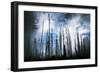 Cold Night-Ursula Abresch-Framed Photographic Print