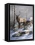 Cold Ridge Watcher-Trevor V. Swanson-Framed Stretched Canvas