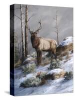 Cold Ridge Watcher-Trevor V. Swanson-Stretched Canvas