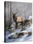Cold Ridge Watcher-Trevor V. Swanson-Stretched Canvas