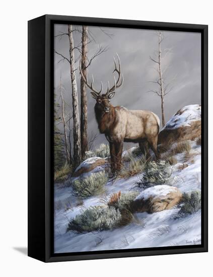 Cold Ridge Watcher-Trevor V. Swanson-Framed Stretched Canvas