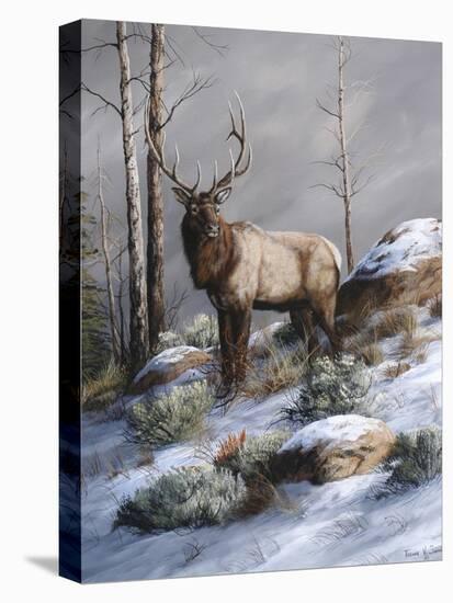 Cold Ridge Watcher-Trevor V. Swanson-Stretched Canvas