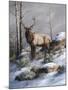 Cold Ridge Watcher-Trevor V. Swanson-Mounted Giclee Print