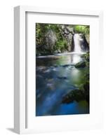 Cold Stream Falls in Maine's Northern Forest. Cold Stream Gorge. Maine-Jerry & Marcy Monkman-Framed Photographic Print