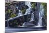 Cold Stream Falls in Northern Forest. Johnson Mountain Township, Maine-Jerry & Marcy Monkman-Mounted Photographic Print