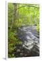 Cold Stream in Maine's Northern Forest. Cold Stream Gorge-Jerry & Marcy Monkman-Framed Photographic Print